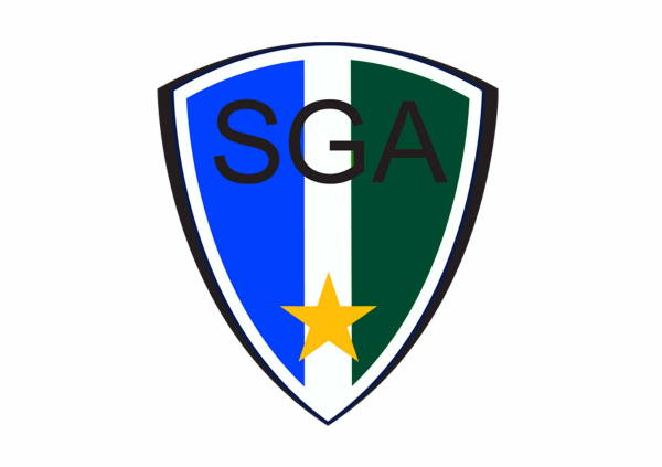 Sao Goncalo escudo